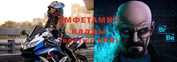 шишки Краснослободск