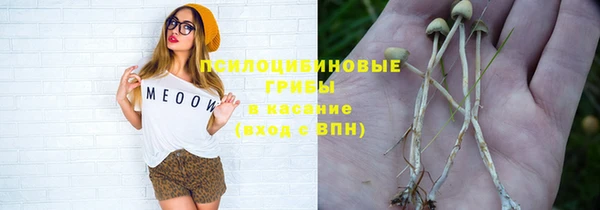 шишки Краснослободск