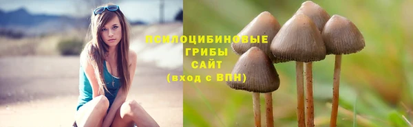 шишки Краснослободск