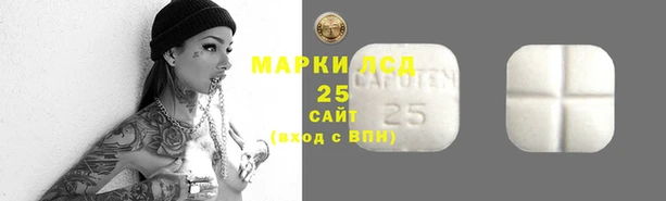 шишки Краснослободск