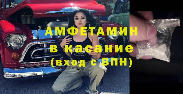 шишки Краснослободск