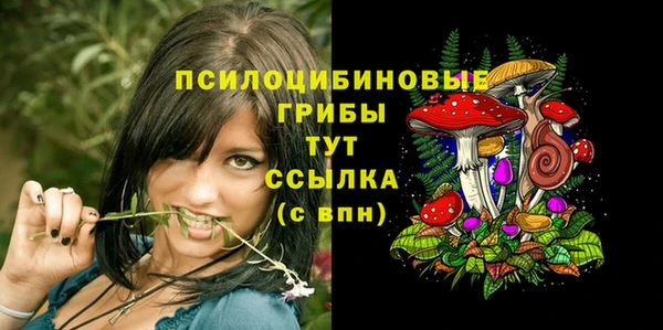 шишки Краснослободск