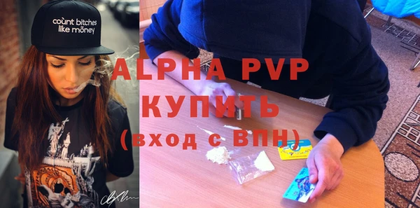 шишки Краснослободск