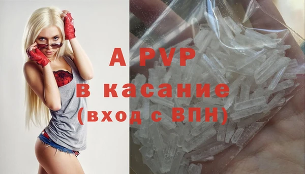 шишки Краснослободск