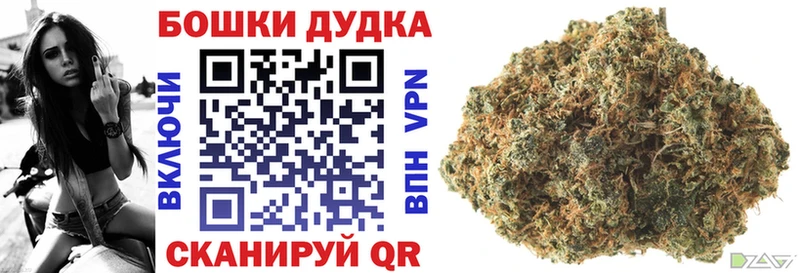 Шишки марихуана OG Kush  Купить где  Котельнич 
